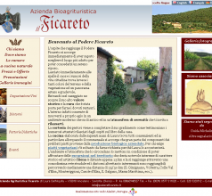 Il sito nella sua prima versione, progettata nel 2006